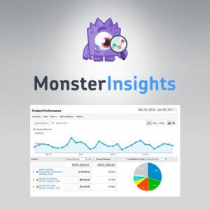 Monsterinsights   Ecommerce Addon