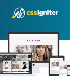CSS Igniter Brittany WordPress Theme