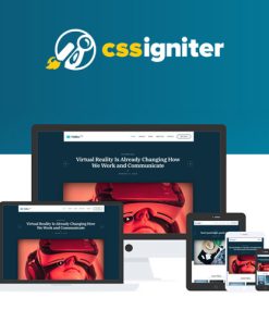 CSS Igniter Vidiho Pro Theme