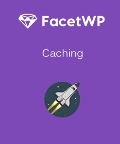 FacetWP - Caching