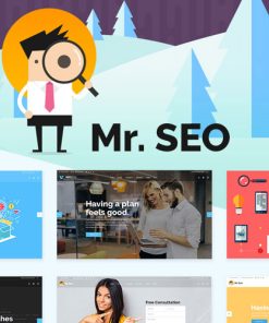 Mr. SEO - SEO, Marketing Agency and Social Media Theme