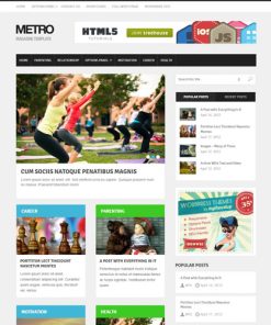 MyThemeShop Metro WordPress Theme