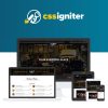 CSS Igniter Carbone WordPress Theme