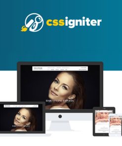 CSS Igniter The Styler WordPress Theme
