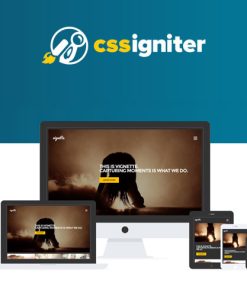 CSS Igniter Vignette WordPress Theme