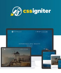 CSS Igniter Zermatt WordPress Theme