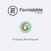 Formidable Forms - Polylang Multilingual