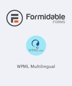 formidable-wpml-1.06.zip