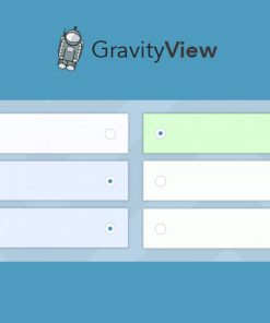 GravityView - Entry Revisions