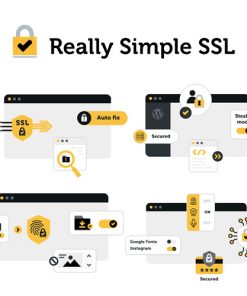 Really-Simple-SSL-Pro