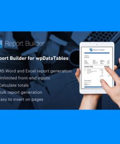 Report-Builder-for-wpDataTables