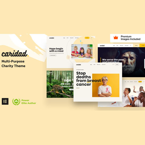 Caridad – Charity WordPress Theme