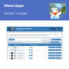 Meow-Perfect-Images