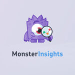 M Monsterinsights