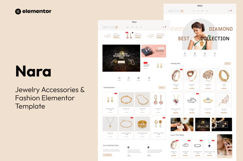 Nara   Jewelry Accessories Store Template Kit