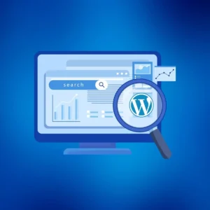 Professional WordPress Seo Setup Service
