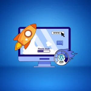 Wordpress Speed Optimization